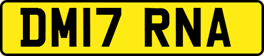 DM17RNA