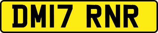 DM17RNR