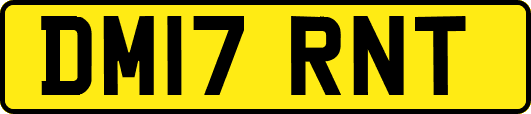 DM17RNT