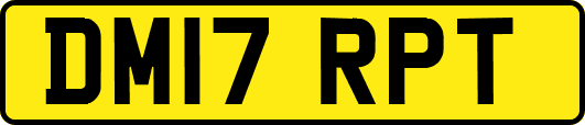 DM17RPT