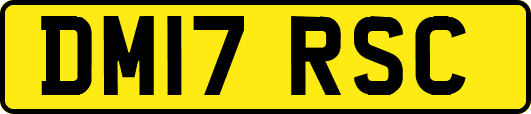 DM17RSC