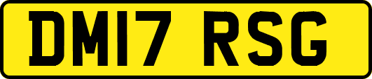 DM17RSG