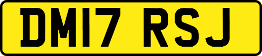 DM17RSJ