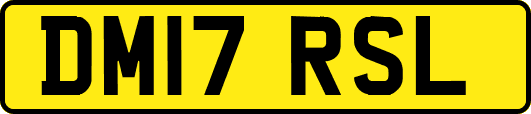 DM17RSL