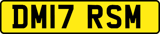 DM17RSM
