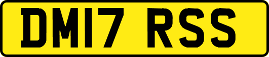 DM17RSS