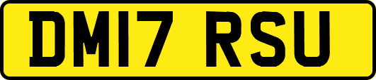 DM17RSU