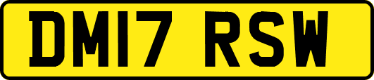 DM17RSW