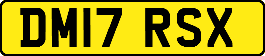 DM17RSX