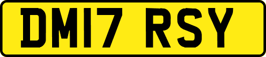 DM17RSY