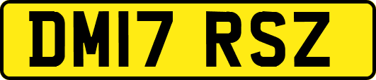 DM17RSZ