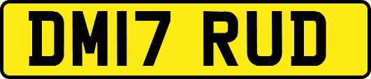 DM17RUD