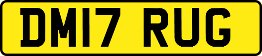 DM17RUG