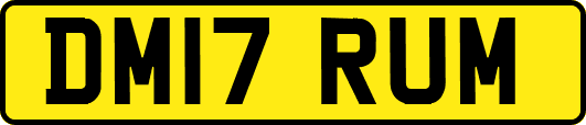 DM17RUM