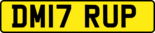 DM17RUP