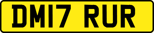 DM17RUR