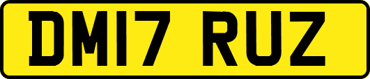 DM17RUZ