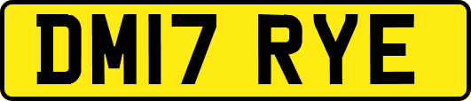 DM17RYE