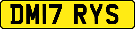 DM17RYS