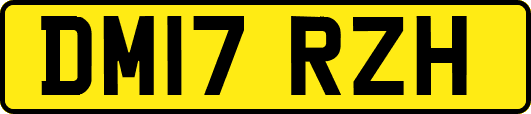 DM17RZH