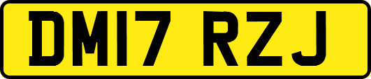 DM17RZJ