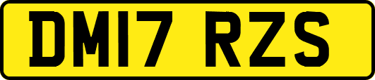 DM17RZS