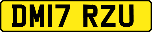 DM17RZU