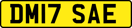 DM17SAE