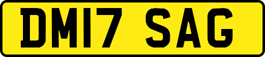 DM17SAG