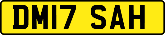 DM17SAH