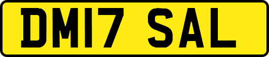 DM17SAL