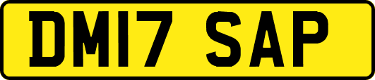 DM17SAP