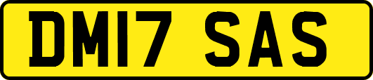 DM17SAS