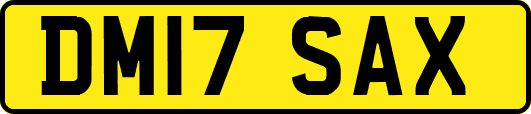 DM17SAX