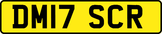 DM17SCR
