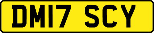 DM17SCY
