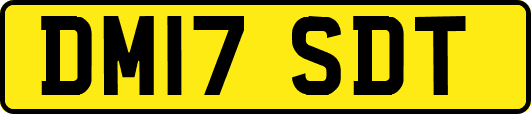 DM17SDT