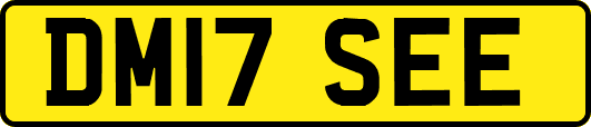 DM17SEE