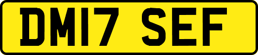 DM17SEF
