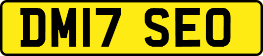DM17SEO