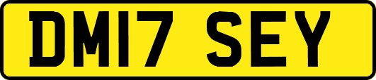 DM17SEY