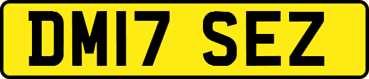 DM17SEZ