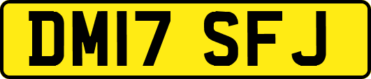 DM17SFJ