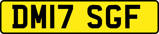 DM17SGF