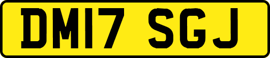DM17SGJ