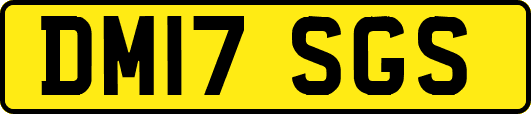 DM17SGS