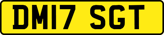 DM17SGT