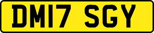 DM17SGY
