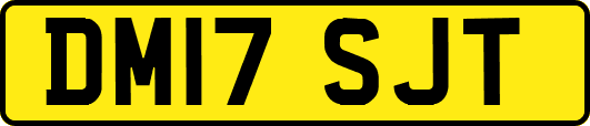 DM17SJT