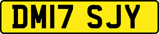 DM17SJY